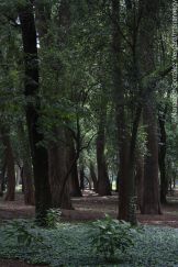 Chapultepec forest. Mexico City
